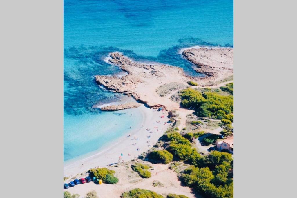 Verano Eterno En Mallorca - Alcudia! Dış mekan fotoğraf